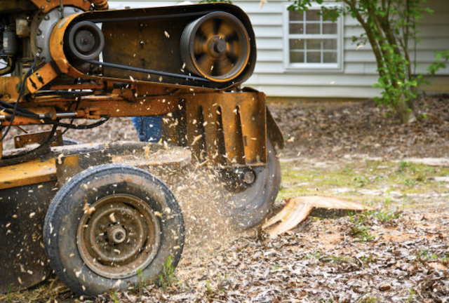 stump grinding ocean nj